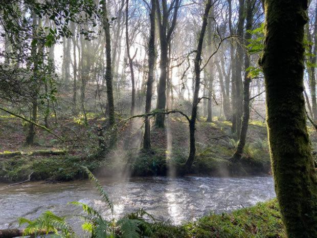 Willow Lodge, Wolfscastle Haverfordwest Bagian luar foto